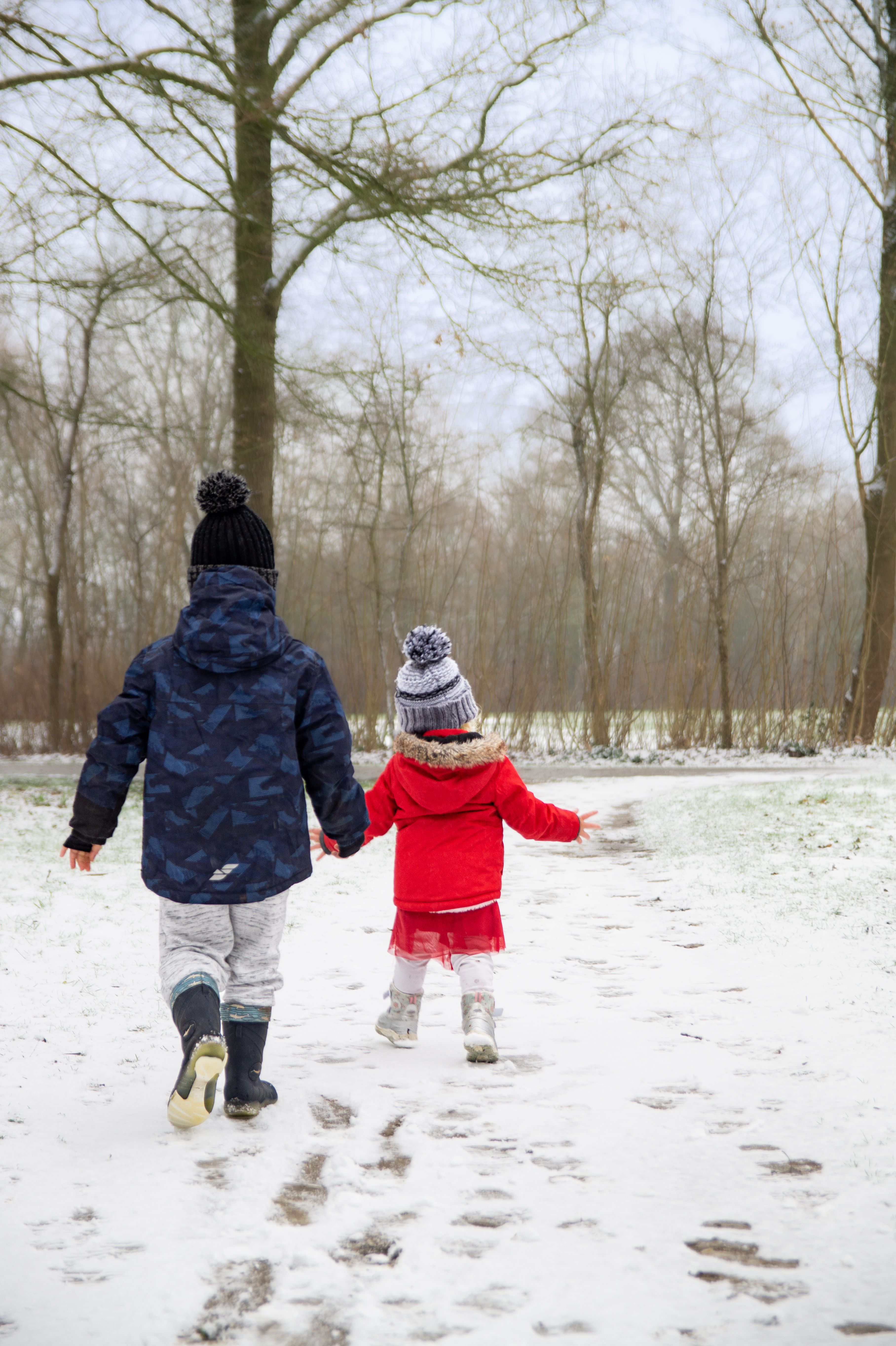 Back View of Children Walking in a Snowy Park · Free Stock Photo