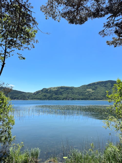 Foto d'estoc gratuïta de casa del llac, fons de l'arbre, fons de l'iphone