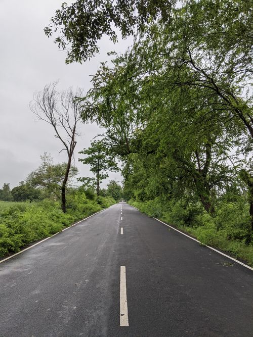 Free A quiet rural road stretches through dense green trees, offering a peaceful and scenic drive. Stock Photo