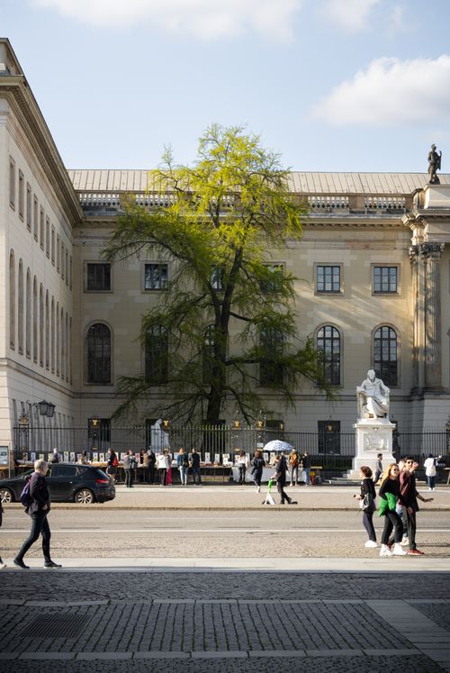 Free Street view of a Berlin landmark with a prominent tree and people nearby. Stock Photo