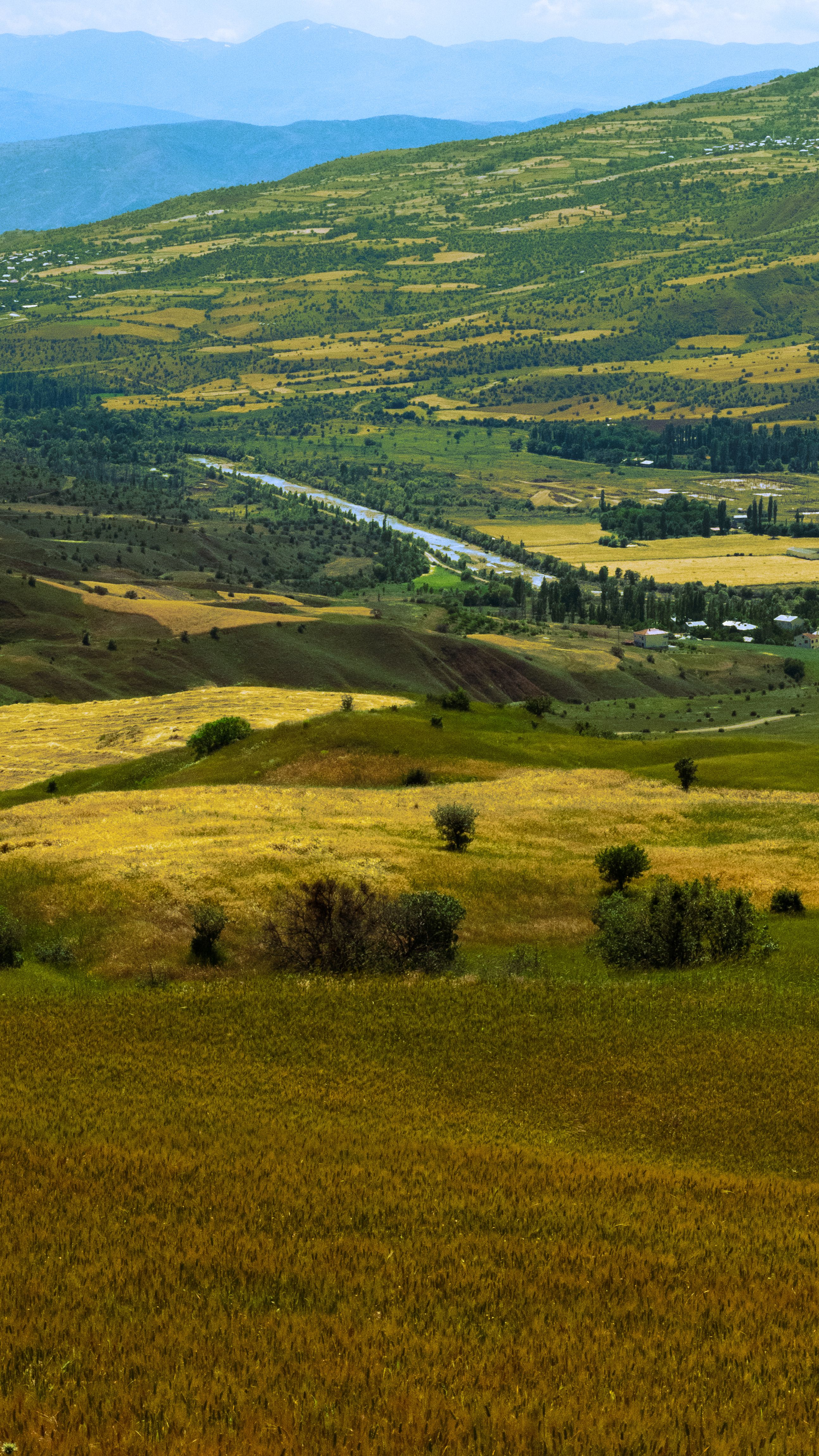 A breathtaking landscape showcasing lush green and golden rolling hills on a sunny day.