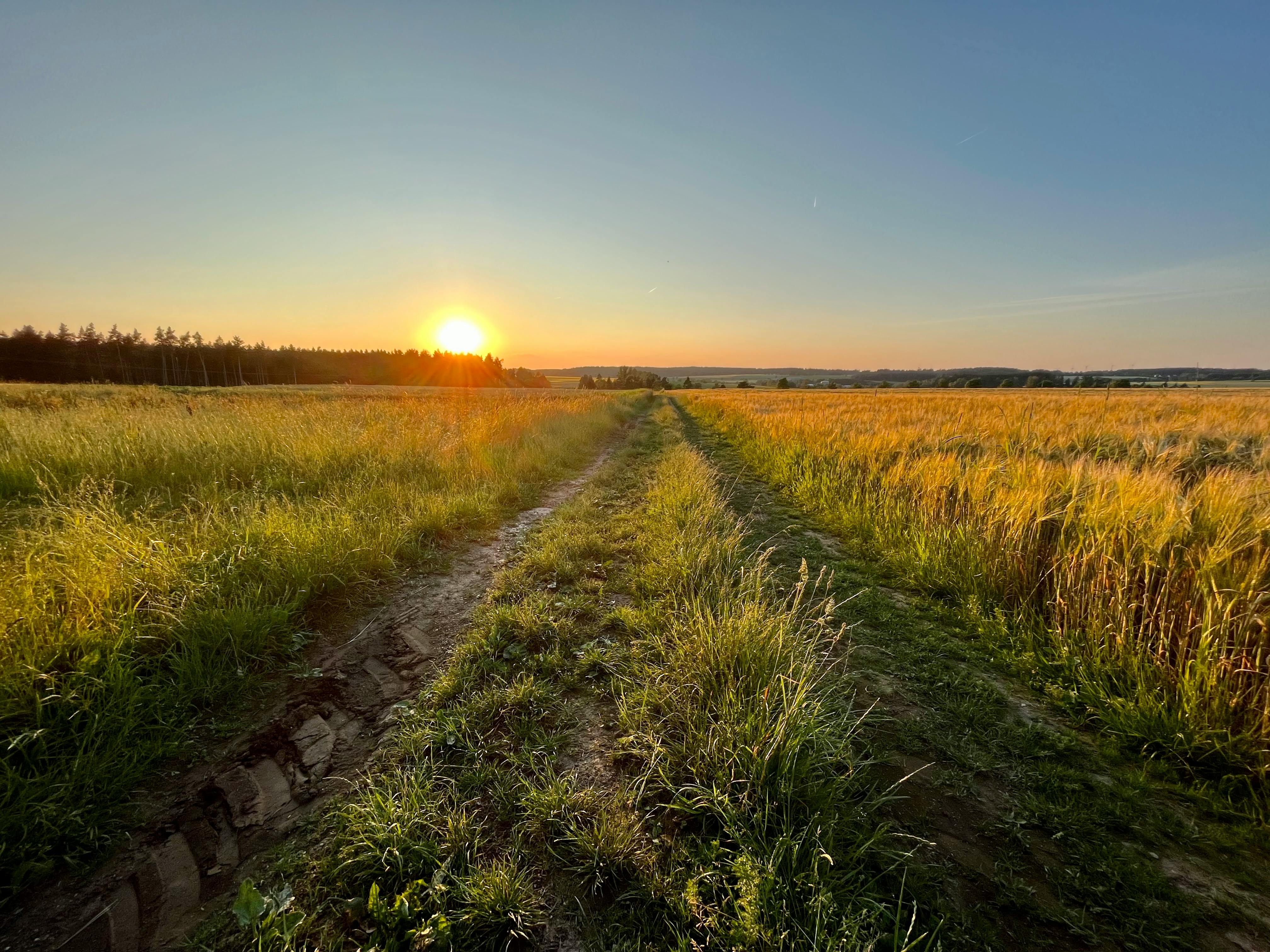 Brown Road Going to the Mountain Photography · Free Stock Photo