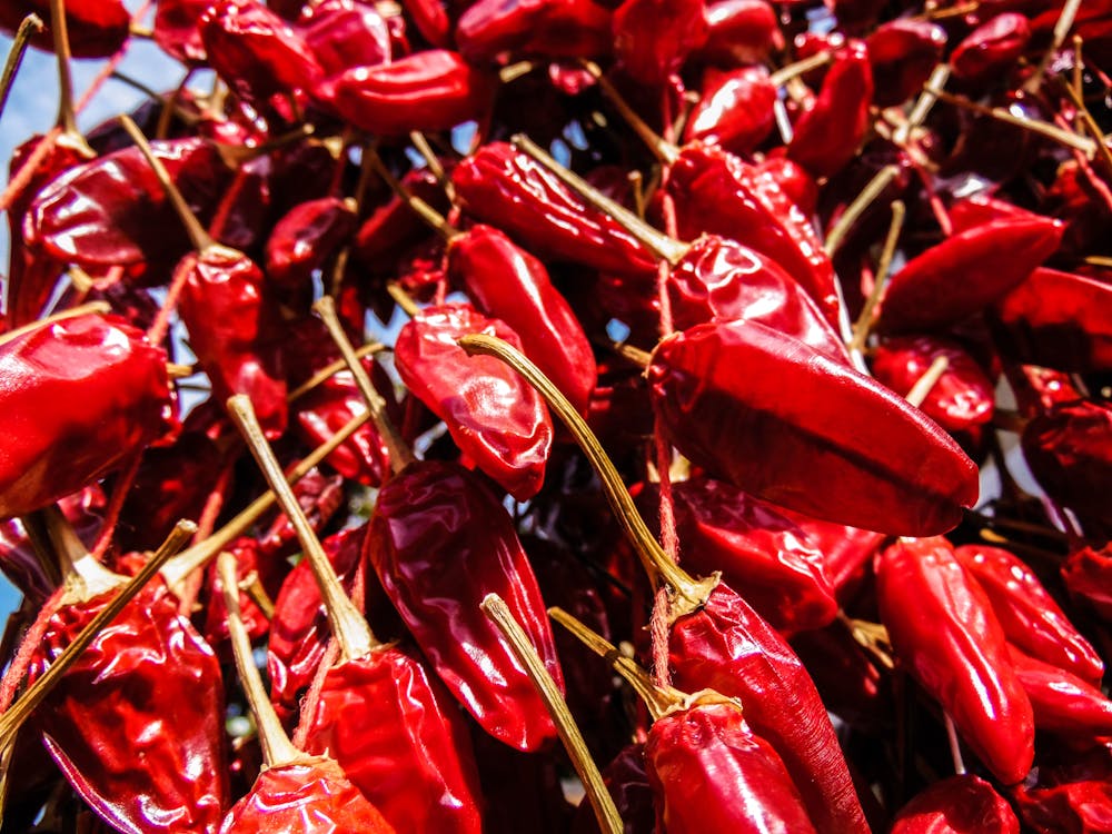 Free stock photo of chili pepper, italy