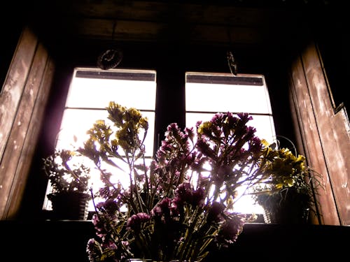 Free stock photo of dark, old window