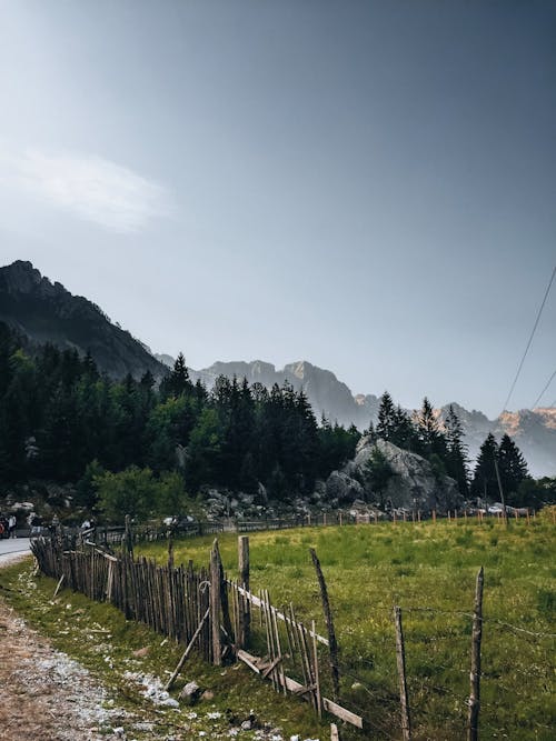 Kostenloses Stock Foto zu außerorts, bäume, berge