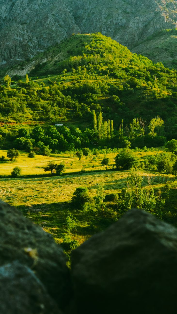 A vibrant and lush countryside landscape showcasing rolling hills and greenery under bright summer sunlight.