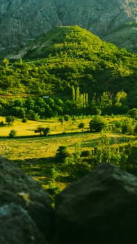 Image by Yusuf  Kaya