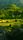 nature videos