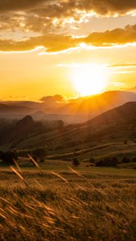 Capture the beauty of a golden sunset illuminating rolling hills in a serene rural landscape.