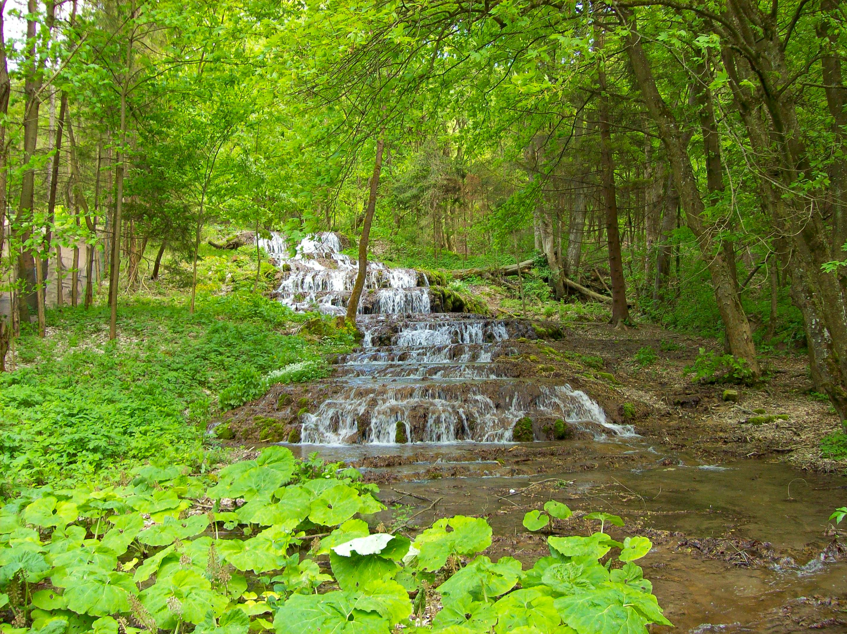 Indiana State Parks offer free admission to kick off outdoor recreation season — Photo by András Nyemczovszky on Pexels