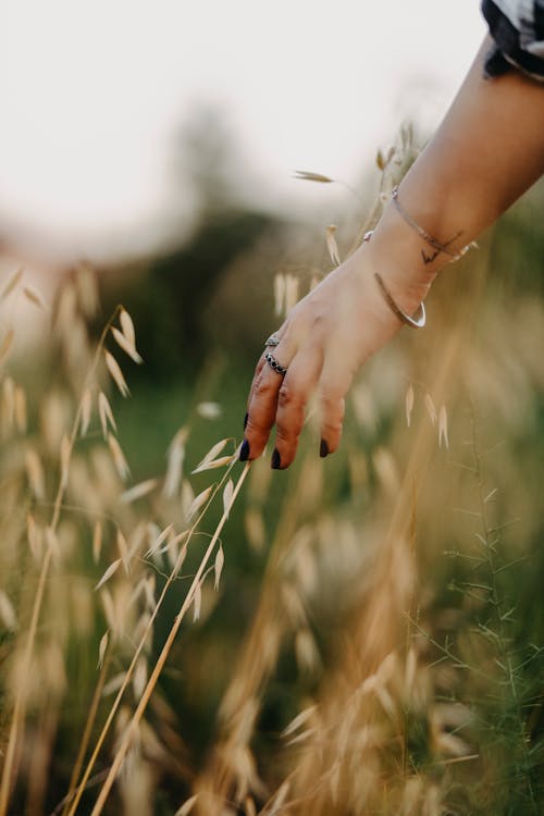 Close-up of Woman Touching Cereal on a Field 