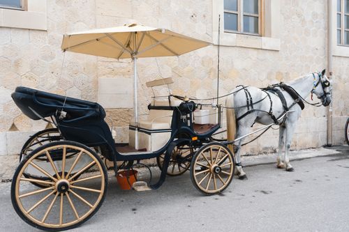 Free A classic white horse harnessed to a vintage carriage on a quaint city street. Stock Photo
