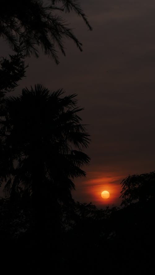 太阳下来, 太陽, 晚上 的 免费素材图片