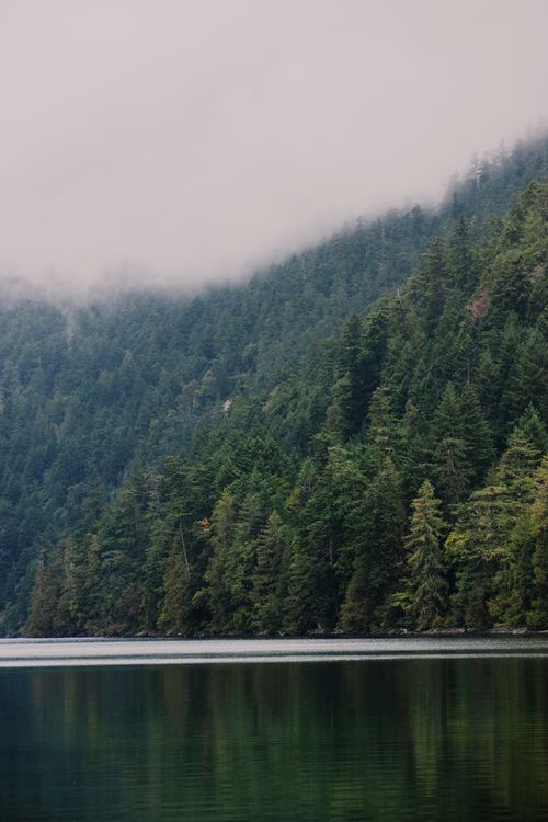 Free A tranquil scene of a foggy forested mountainside reflected in a calm lake. Stock Photo