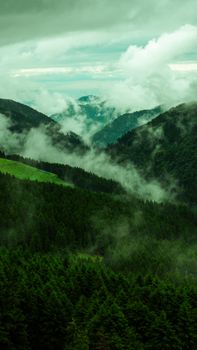 Serene mist envelops a lush mountain forest and valley, creating a tranquil nature scene.