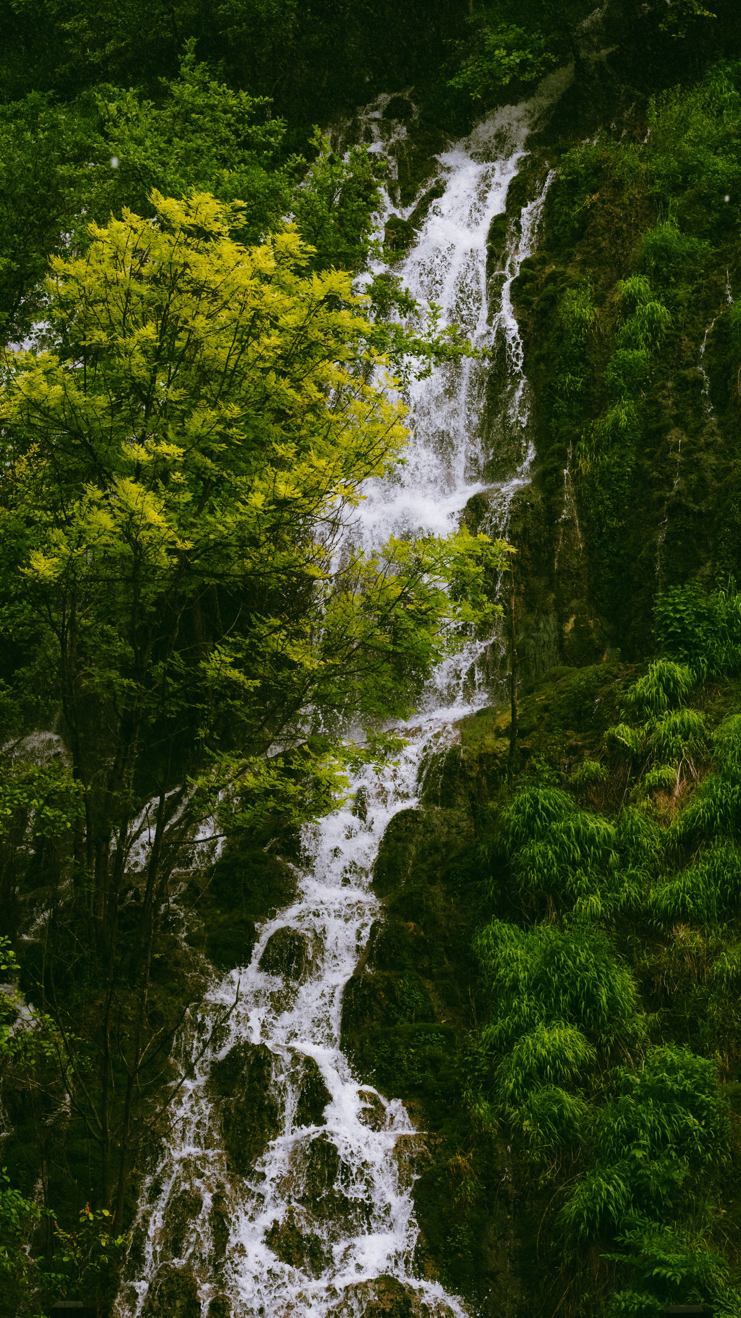 View of a Splashing Waterfall · Free Stock Photo