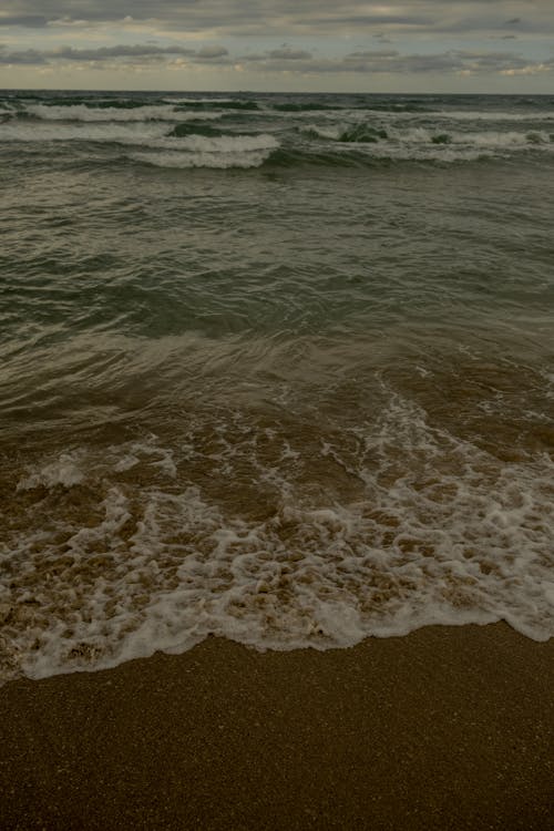 Seashore with a Clear Line of the Horizon in the Background