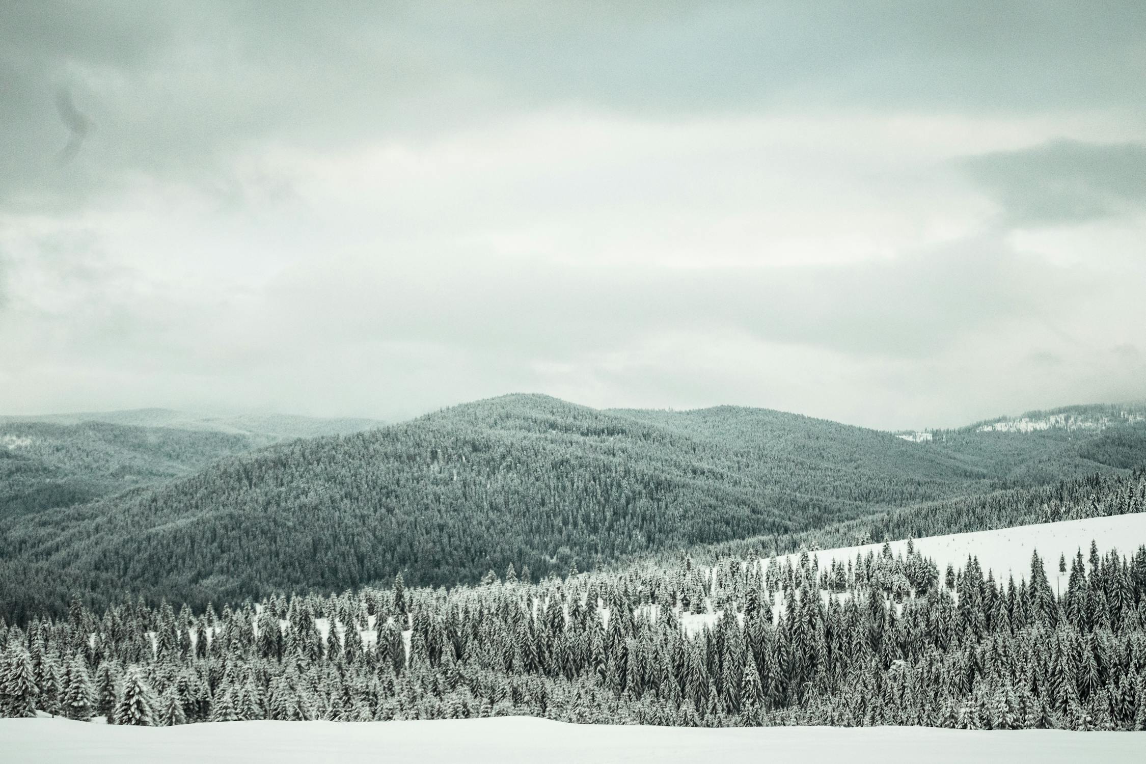 Mountain Covered With Snow · Free Stock Photo