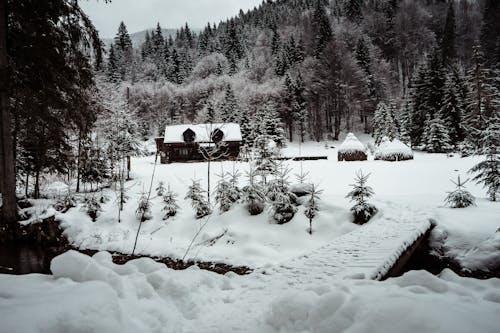 Casa Cubierta De Nieve