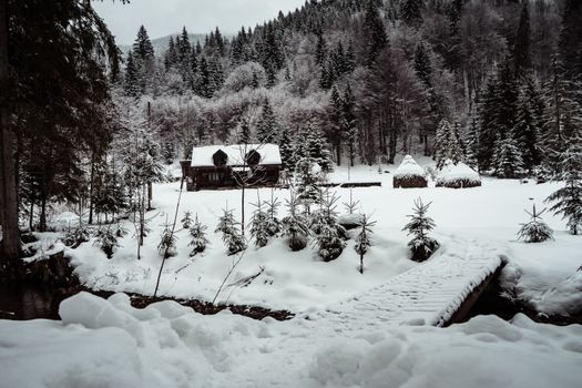 冬日宁静，小屋四周环绕着白雪覆盖的森林和树木