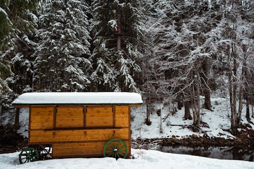 雪蓋的木製棚屋的照片