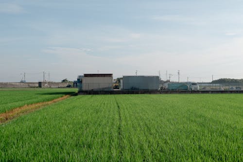 Green Field in Countryside