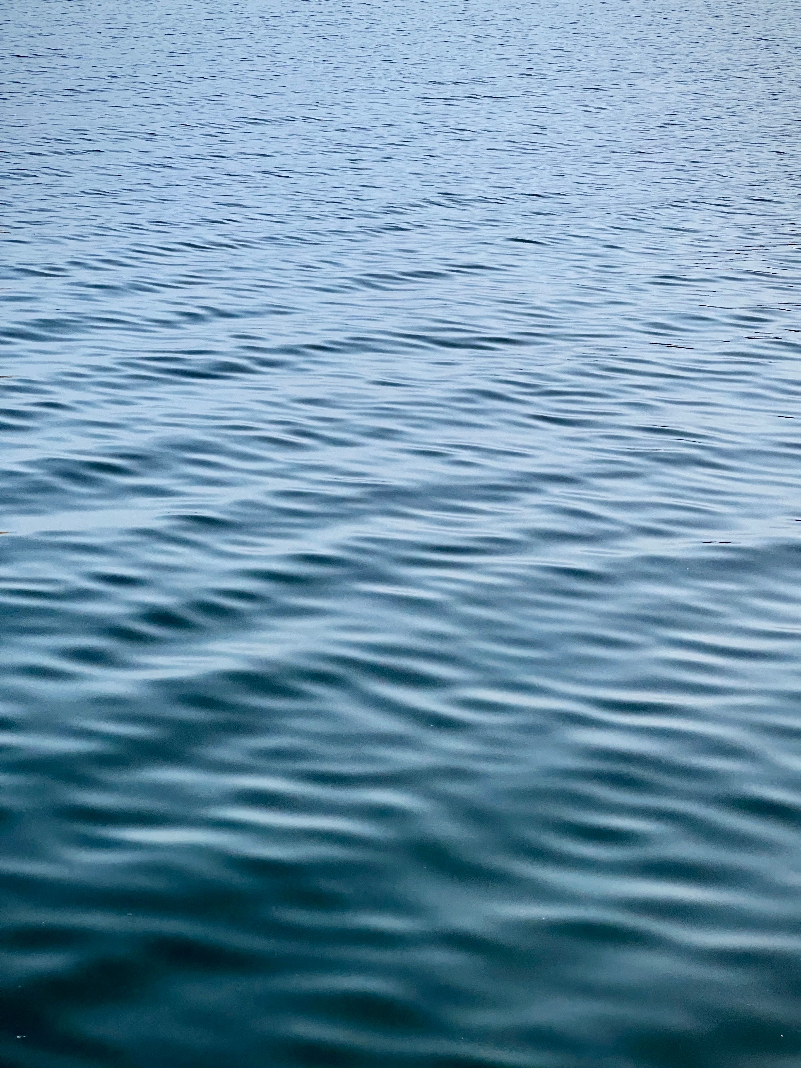 Wavy Water Surface · Free Stock Photo