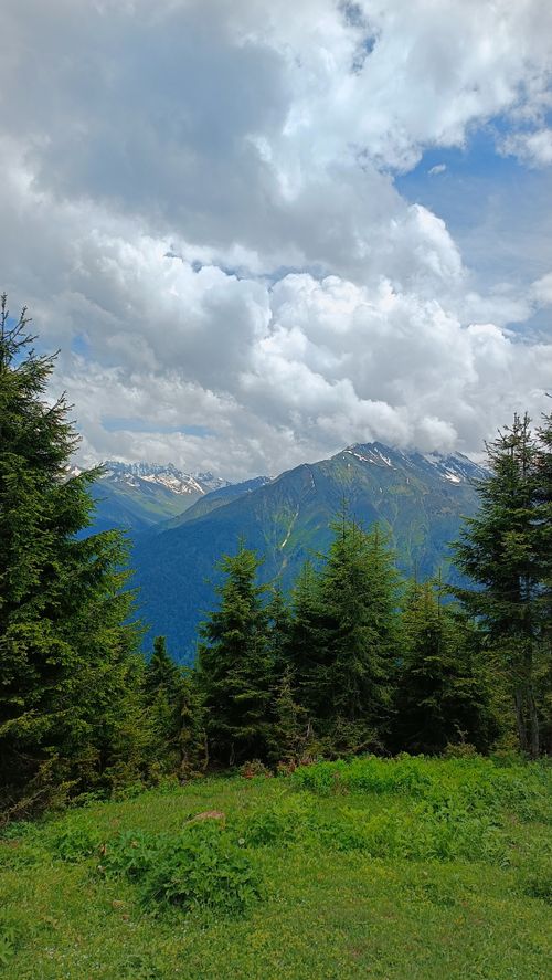 Free A vibrant mountain scene featuring lush greenery, conifer trees, and cloudy skies in a vertical composition. Stock Photo
