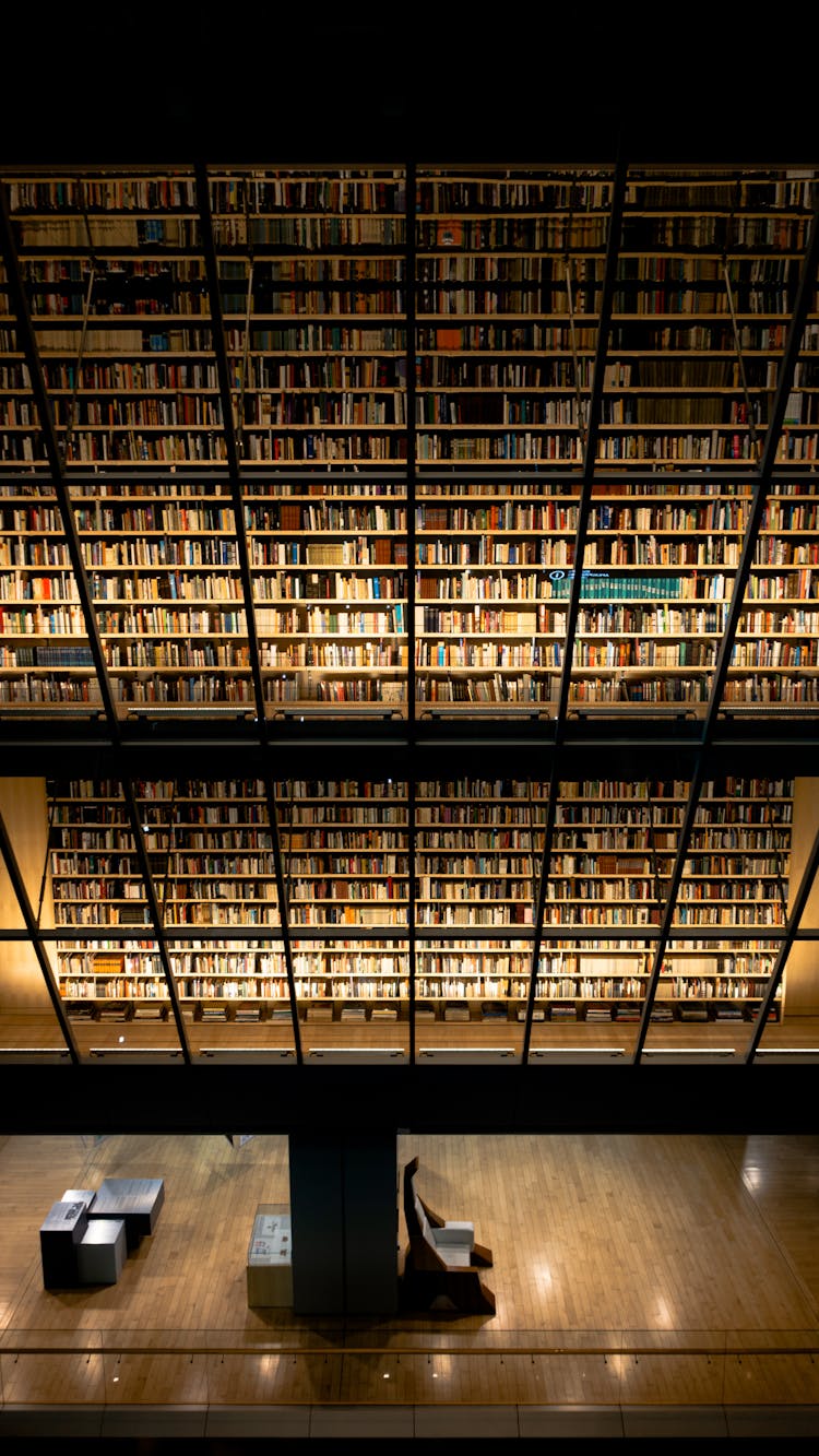 Shelves On Books In Library