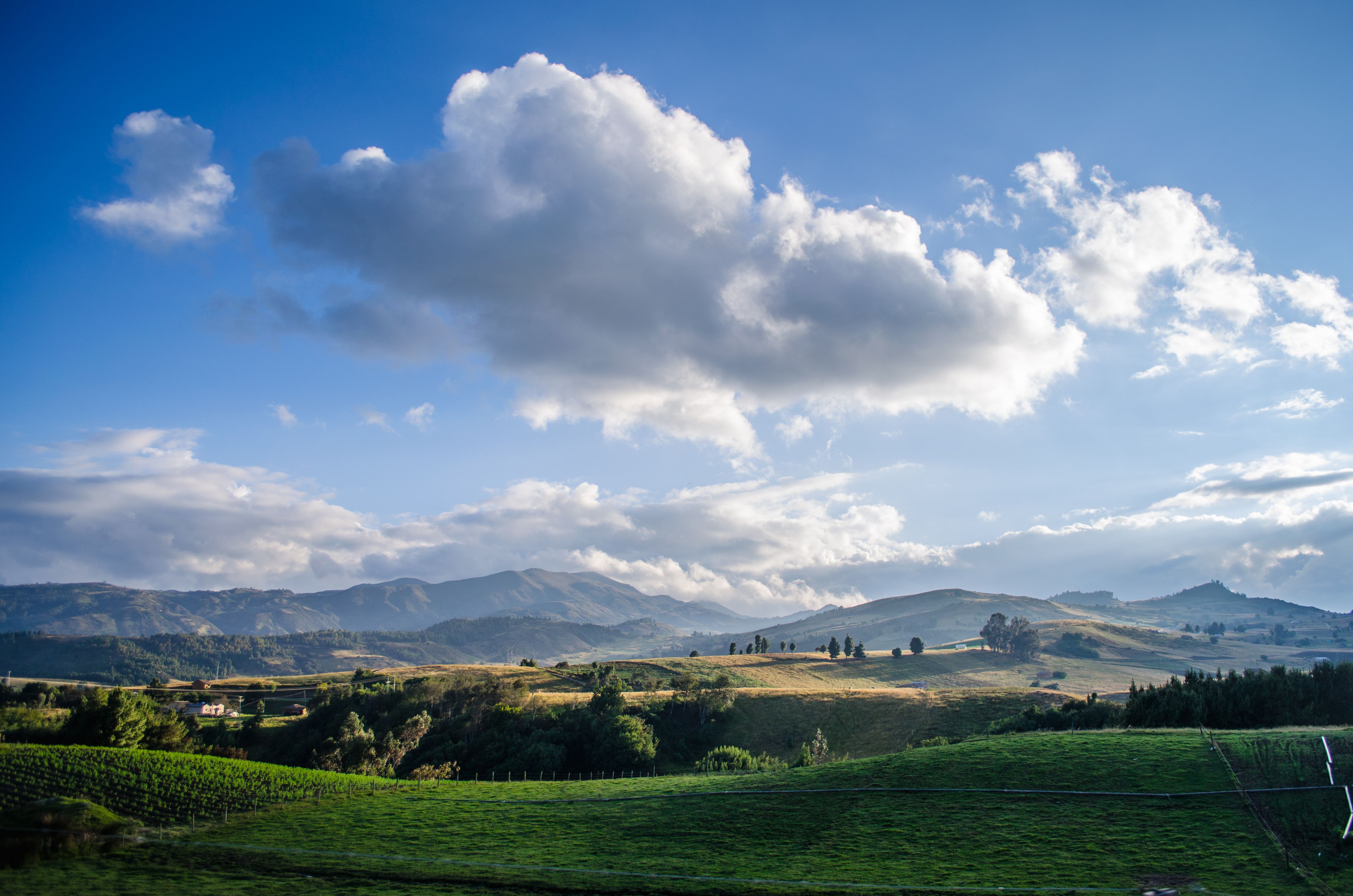 Land distribution remains the central unresolved structural dispute in Colombian politics, with rural poverty rates near 39 percent decades after successive governments promised agrarian reform.