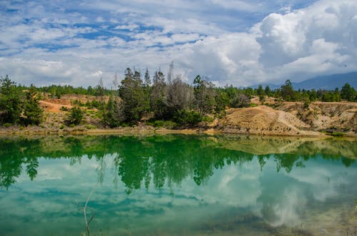 Darmowe zdjęcie z galerii z drzewa, jezioro, natura