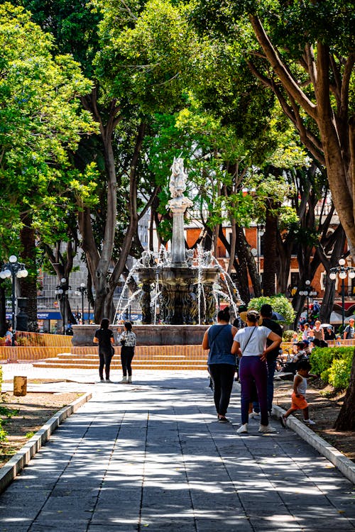 Immagine gratuita di alberi, camminando, città