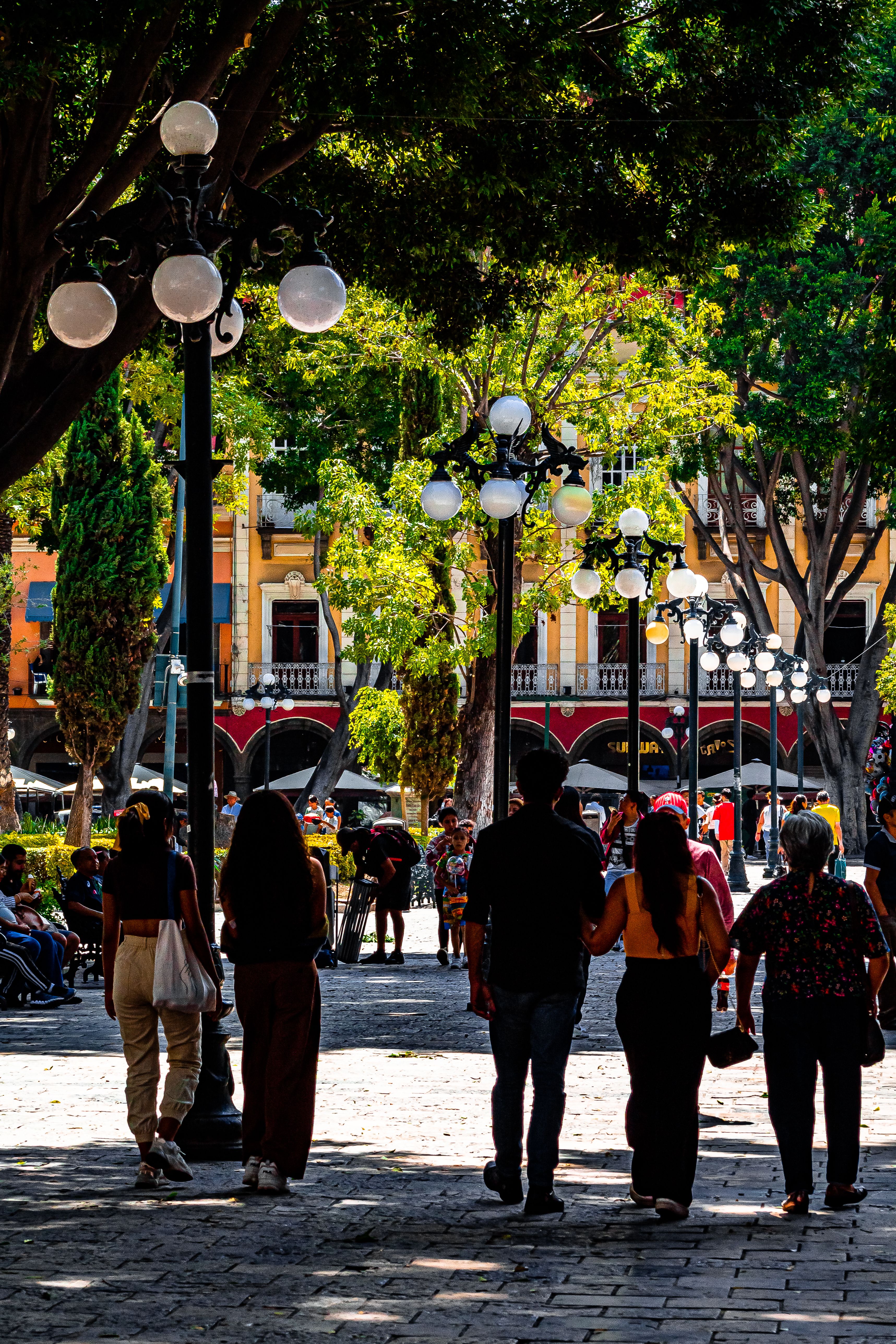 Back View of People Walking at Park · Free Stock Photo