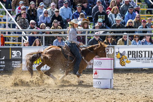 Woman in Horseback Riding Competition