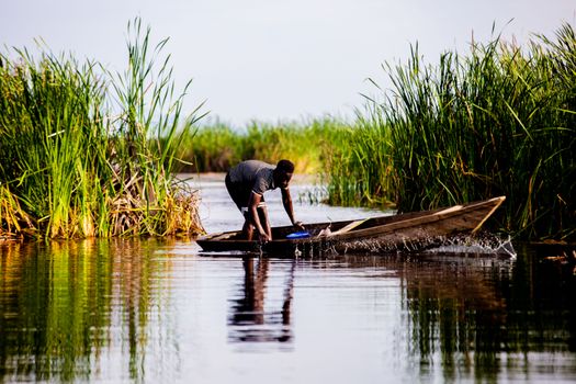 African man paddling a canoe through tranquil river surrounded by tall reeds.