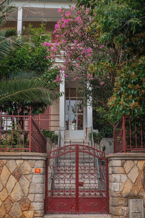 Building Facade and a Front Garden 