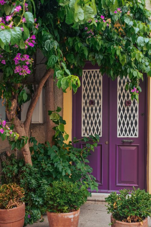 Greenery And Tree Near Purple Doors Free Stock Photo greenery-and-tree-near-purple-doors-free-stock-photo