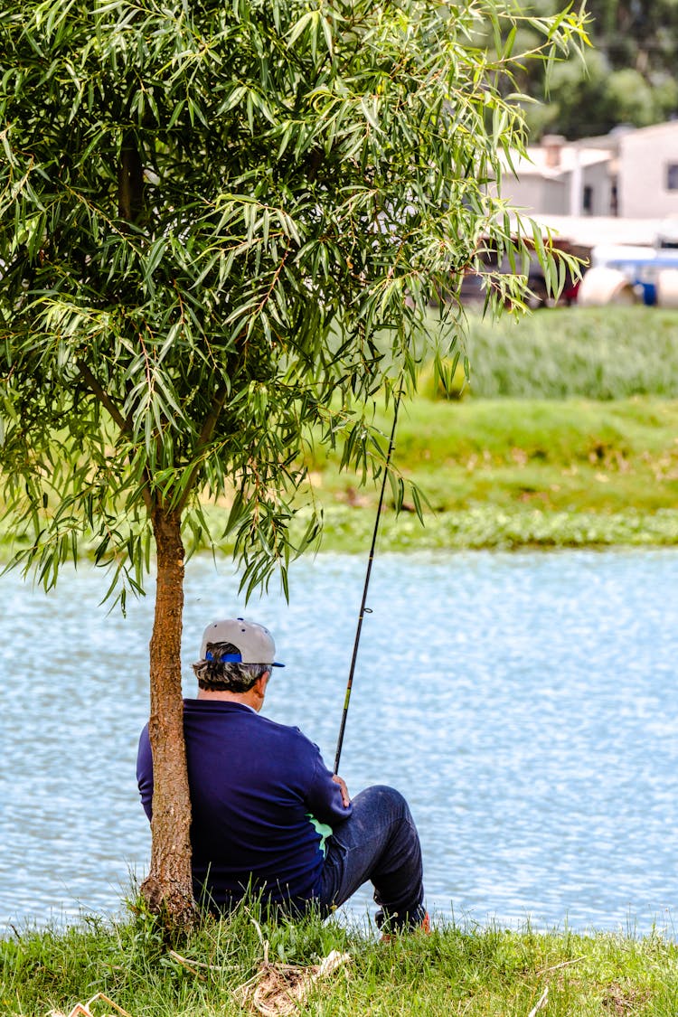 Man Sitting By Tree And Fishing