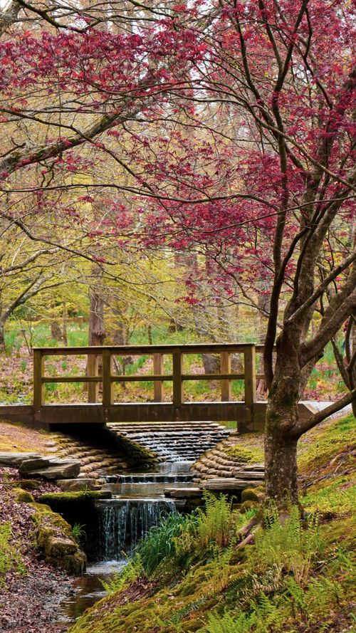 Free A serene view of a footbridge over a stream with vibrant spring foliage in a park setting. Stock Photo