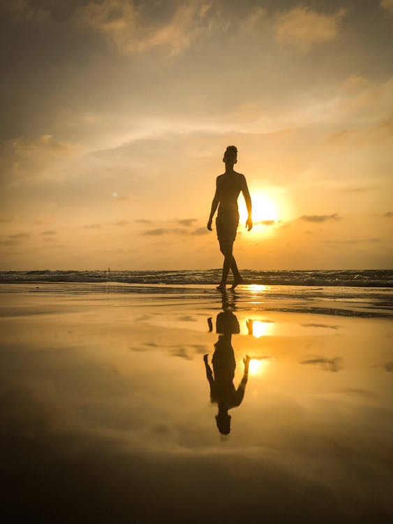 Silhouette of Man on Seashore