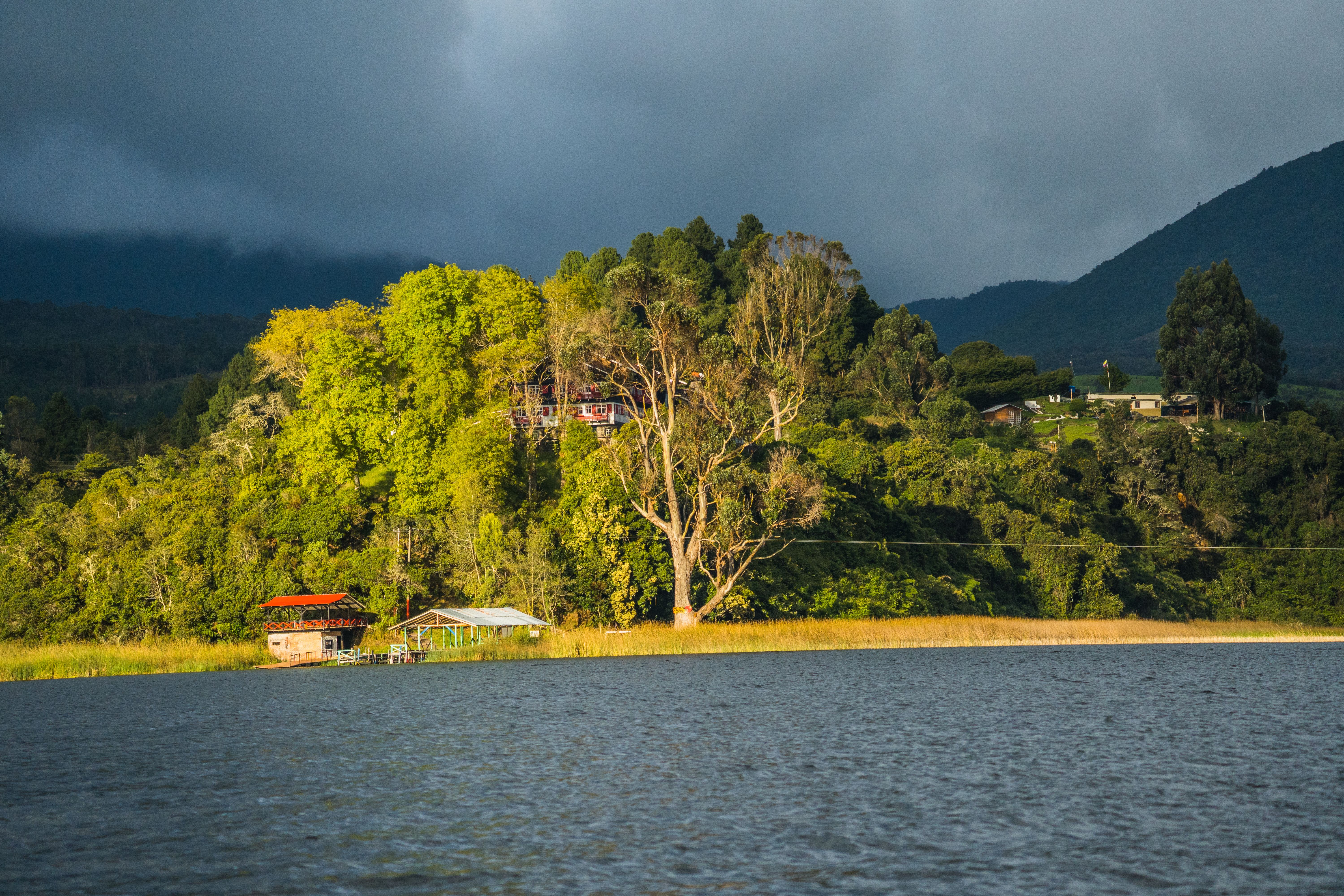 6 Day Plant Medicine for Recovery Retreat in Guatemala 1
