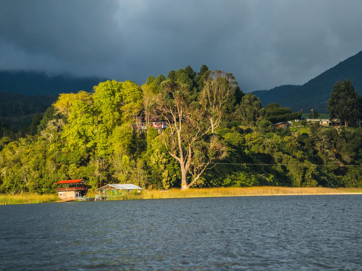 6 Day Plant Medicine for Recovery Retreat in Guatemala 1