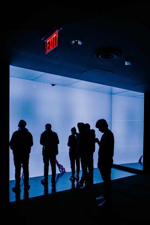 Silhouettes of People Standing in a Room with Blue Lighting 