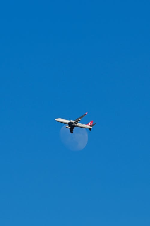 Kostenloses Stock Foto zu aufnahme von unten, blauer himmel, fliegen