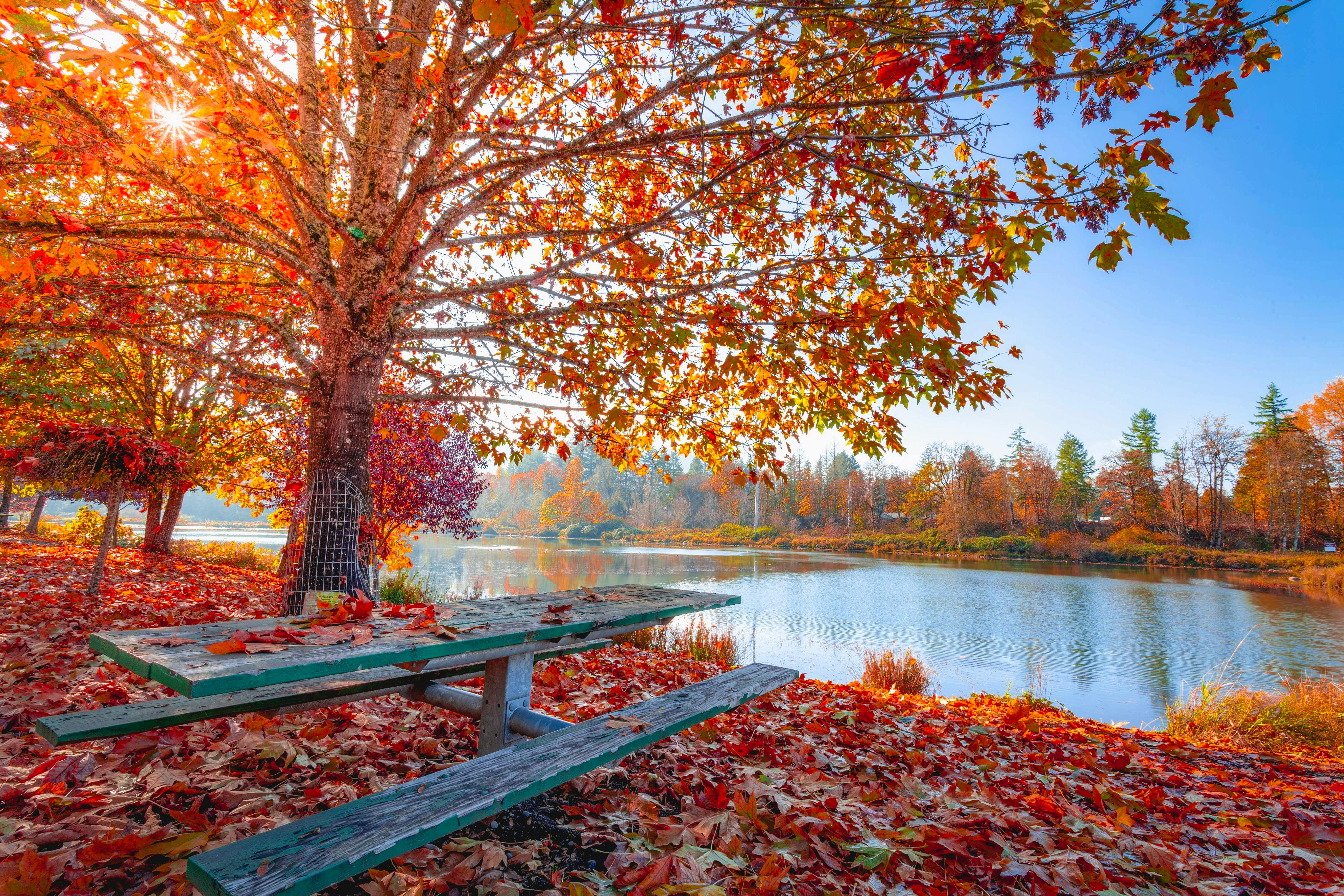 Featured image of post Autumn Wallpaper 4K Phone