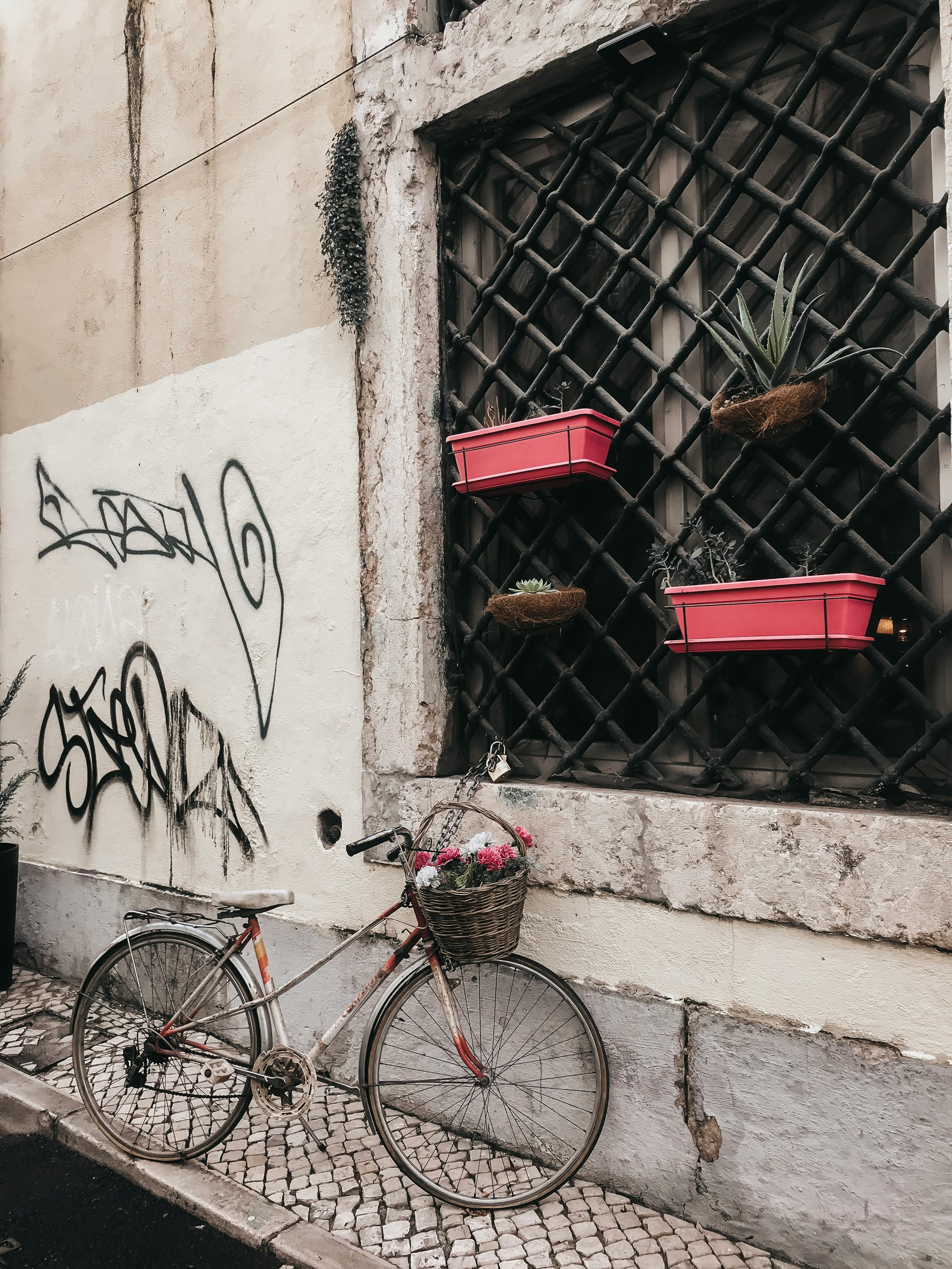 Free A quaint street corner features a bicycle, graffiti, and vibrant plant boxes. Stock Photo