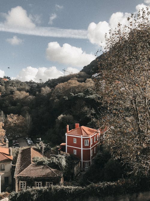 High Angle Photo of Houses Surrounded With Trees