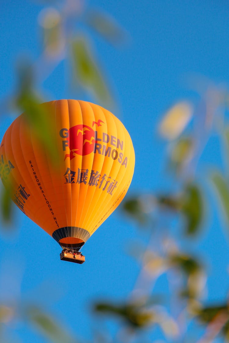 Hot Air Balloon Behind Leaves