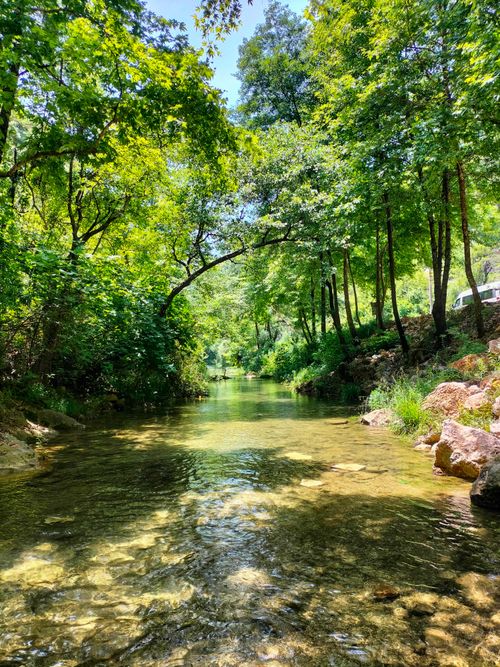 Free Tranquil stream flowing through lush forest in Antalya, Türkiye, under bright sunlight. Stock Photo