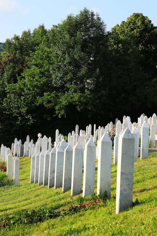 Kostnadsfri bild av alifakovac kyrkogård, bosnien och hercegovina, gravar